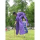 Echassier et balle contact