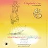 1_capsule_corp_by_caroline_nguyen_ete_2012 (73)