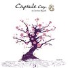 1_capsule_corp_by_caroline_nguyen_ete_2012 (1)