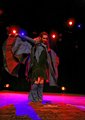 capsule_corp_createur_textile_costume (181)