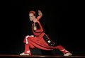 capsule_corp_createur_textile_costume (189-1) (1-2)-1 (1)